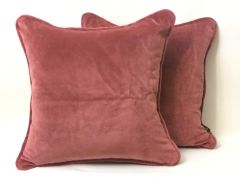Pembe Kadife Kırlent DMTR00000TS27